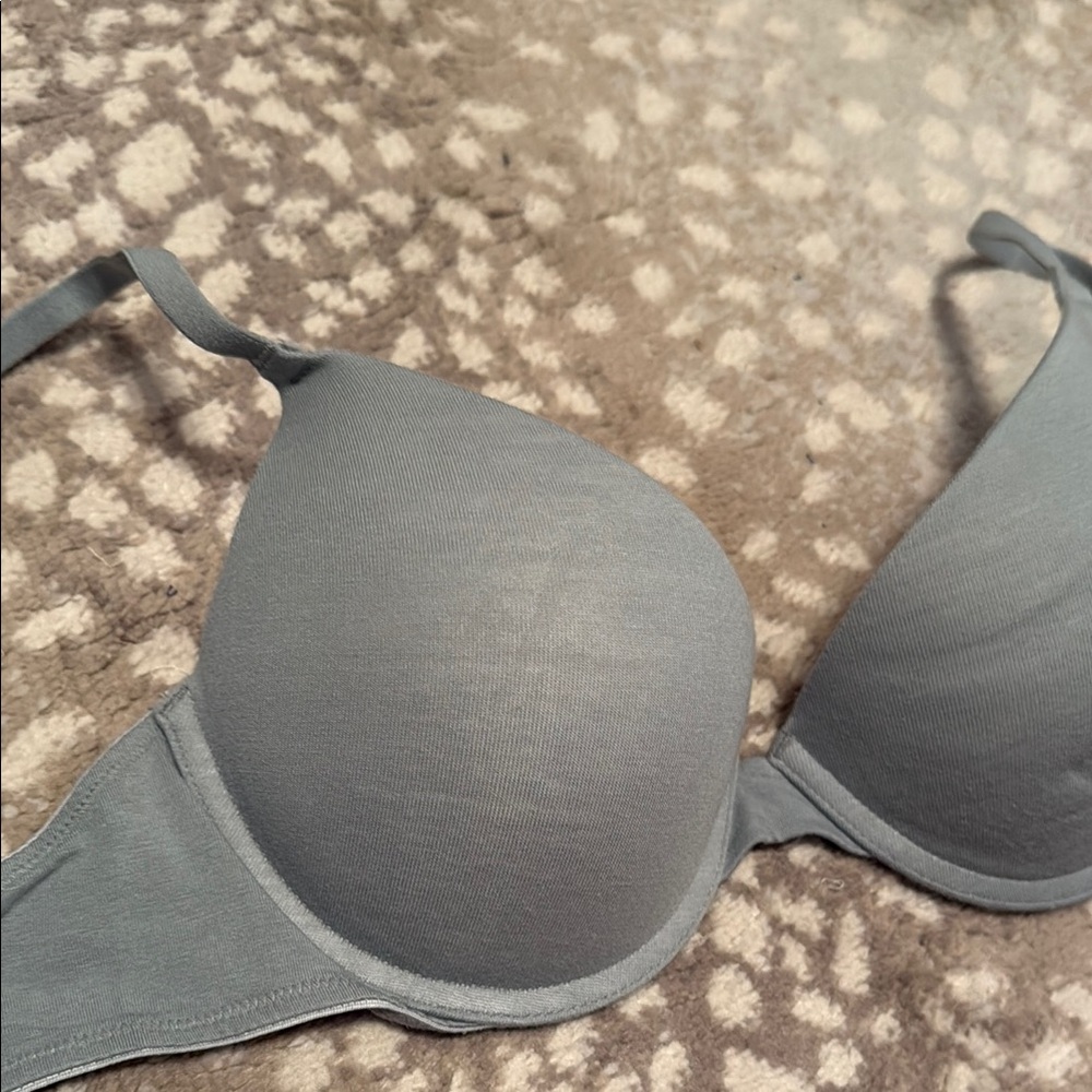 30DD Wear Everywhere Push Up Bra